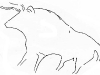 toro