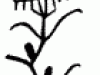 30-Shobinger-A_gif