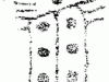 30-Shobinger-D_gif