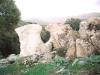 38-2Megaliteulviforme_jpg