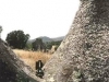 38-4Cunadelvulviforme_jpg