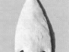 22-fig1_jpg