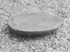 22-fig9_jpg