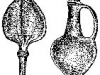 1-6-papavero-e-vaso-biblbil-c_gif