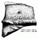 2-stele10_gif