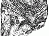 2-stele2_gif