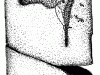 2-stele5_gif
