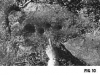 17-FIG_-10-COPPELLE_jpg