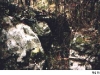 17-fig_-11-cohba_jpg