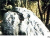 17-fig_-5-Caana-_jpg